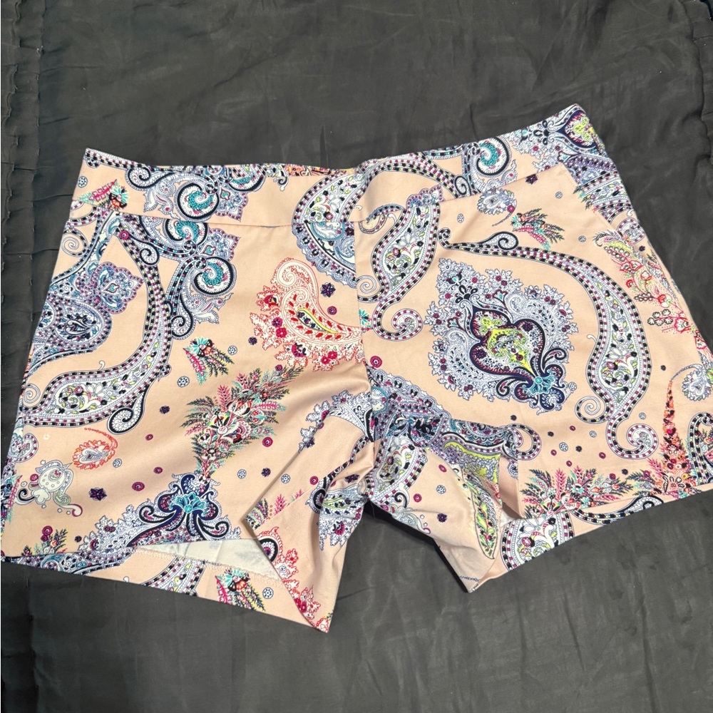 Express Multicolor Side Zip Shorts size 10. Never worn NWOT